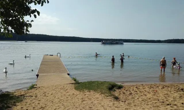 Słoneczna augustów plaża z pomostem, łabędziami i ludźmi kąpiącymi się w jeziorze. Na wodzie pływa statek wycieczkowy.