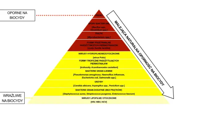Piramide oporności drobnoustrojów na biocydy: od prionów po wirusy lipofilne.