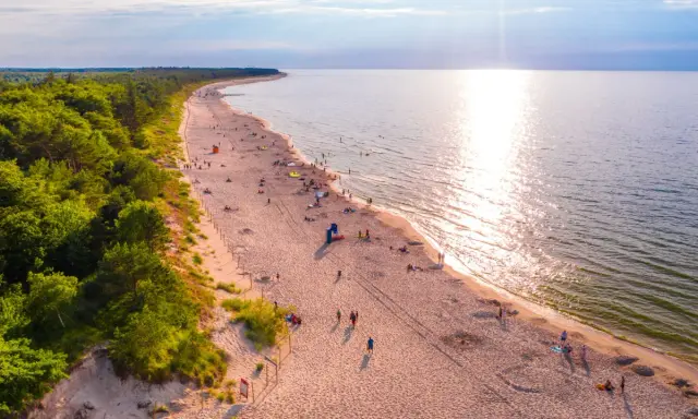 Piękna plaża z lasem sosnowym, idealne miejsce, gdzie pojechać na wakacje w Polsce. Słońce odbija się w wodzie, a ludzie odpoczywają na piasku.