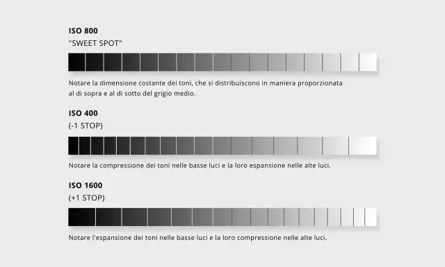 Confronto gamma dinamica: ISO 800 (sweet spot), ISO 400 (meno dettagli ombre), ISO 1600 (meno dettagli alte luci).
