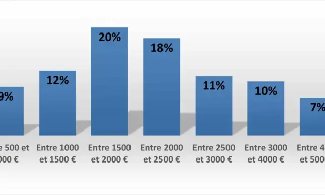 Graphique montrant la répartition des salaires. Le marqueteur peut espérer un salaire entre 1500 et 2000€ (20%).