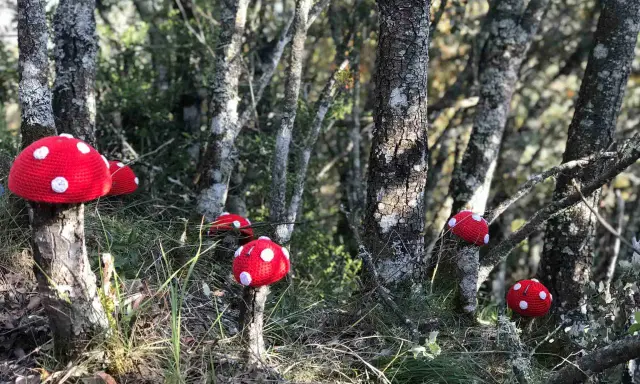 Hongos rojos tejidos adornan la ruta de los duendes en el bosque.