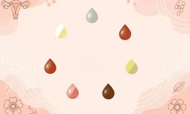 Cykl menstruacyjny: różne kolory i konsystencje wydzieliny. Srom co to? To część układu rozrodczego kobiety.