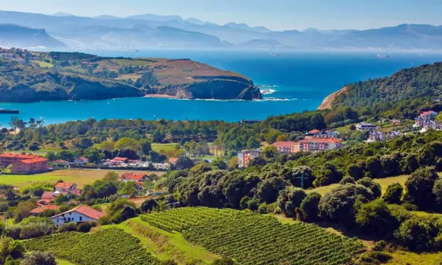 Viñedos y casas con tejados rojos se extienden hasta la costa vasca, un paisaje que evoca el sabor del chacolí de Bilbao.