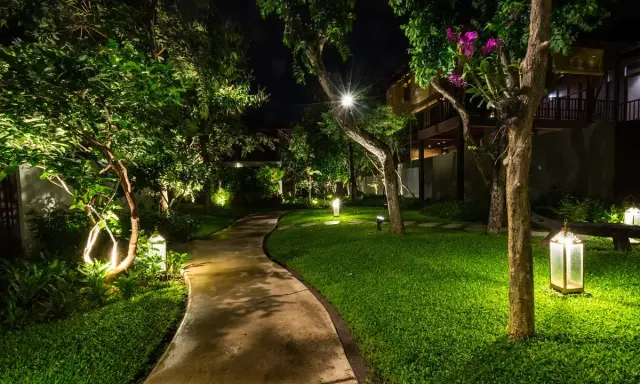 Chemin sinueux éclairé par des lanternes, la température de la lumière crée une ambiance chaleureuse dans ce jardin luxuriant la nuit.