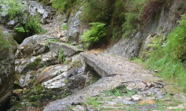Un puente de hormigón deteriorado cruza un arroyo rocoso en la ruta del alba, rodeado de vegetación exuberante y rocas cubiertas de musgo.