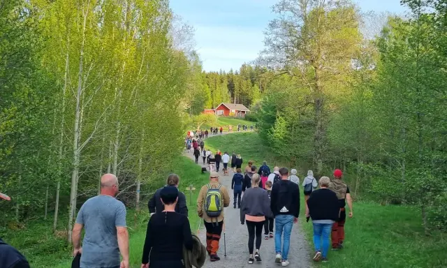 En grupp människor på en nattvandring Kinnekulle, på en grusväg genom en lummig skog. En röd stuga syns i bakgrunden.