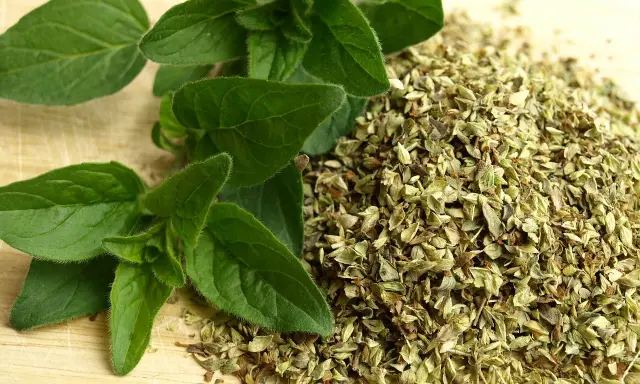 Świeże liście i suszone zioła. Jak odróżnić oregano od majeranku? Zobacz różnice w liściach i formie suszu.