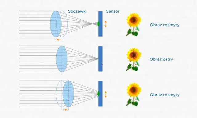 Schemat pokazuje, jak soczewki i sensor współpracują, by uzyskać ostry obraz. Autofocus dostosowuje pozycję soczewek, by obraz słonecznika był wyraźny.