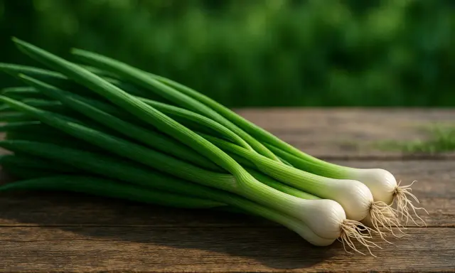 Trois oignons nouveaux, aux tiges vertes et bulbes blancs, reposent sur un bois rustique. Ils évoquent la fraîcheur de la ciboule et de la ciboulette.