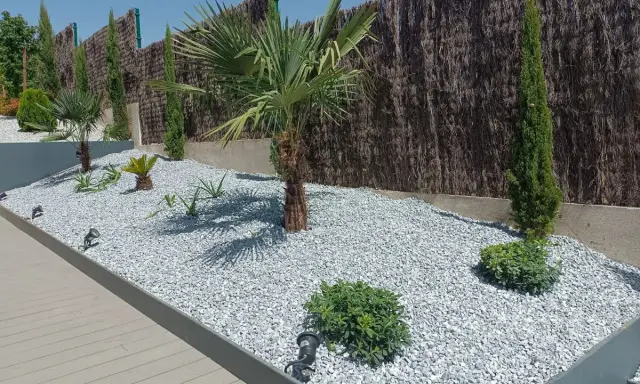 Jardines con grava y piedras, palmeras y cipreses bajo un cielo azul. Un diseño moderno y minimalista.