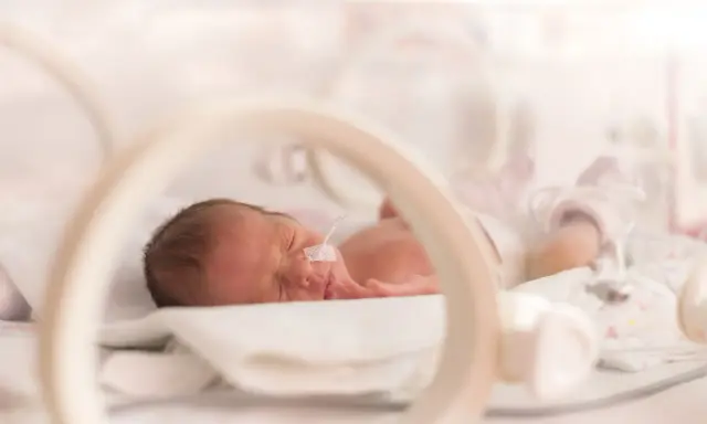 Maleńki wczesniak w inkubatorze, z rurką w nosku, śpi spokojnie.