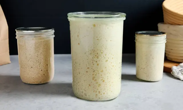 Trois bocaux de levain actif, montrant la proportion levain farine eau. Le levain est plein de bulles, signe de fermentation.