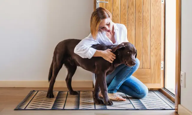 Une femme accroupie enlace tendrement son chien brun. Leur **relation fusionnelle avec son chien** est palpable dans ce moment de complicité.