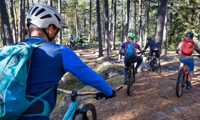 Grupp cyklar på en skogsstig i Falun. Solen lyser genom träden och skapar skuggor på marken.