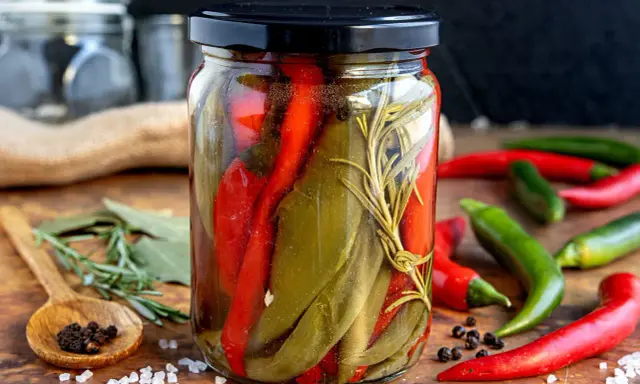 Eingelegter Peperoni im Glas, eine Methode, um sie haltbar zu machen. Mit Rosmarin und Gewürzen.