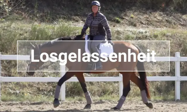 Reiterin mit linker Hand am Zügel eines braunen Pferdes, das entspannt trabt.