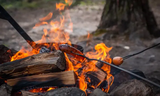 En korv grillas över en sprakande eld. En härlig eld brasa som värmer och ger mat.