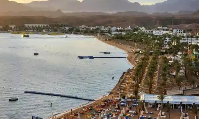 Piękna plaża z palmami i górami w tle. Czy to Hurghada czy Sharm El Sheikh?