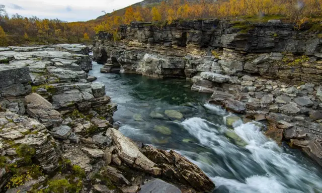 Vatten forsar genom Abisko kanjon, kantad av dramatiska klippformationer och höstens gyllene lövverk.