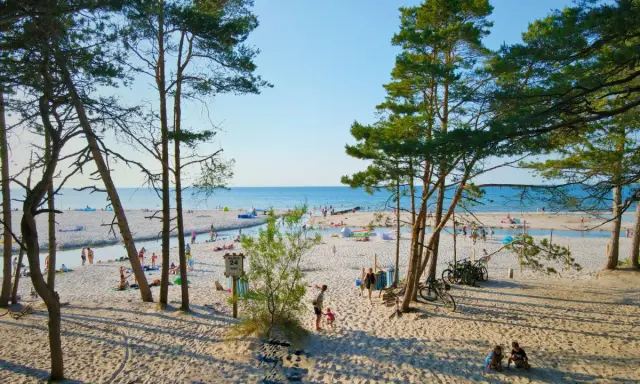 Słoneczna dębki plaża z piaszczystym brzegiem, drzewami sosnowymi i ludźmi odpoczywającymi nad morzem.