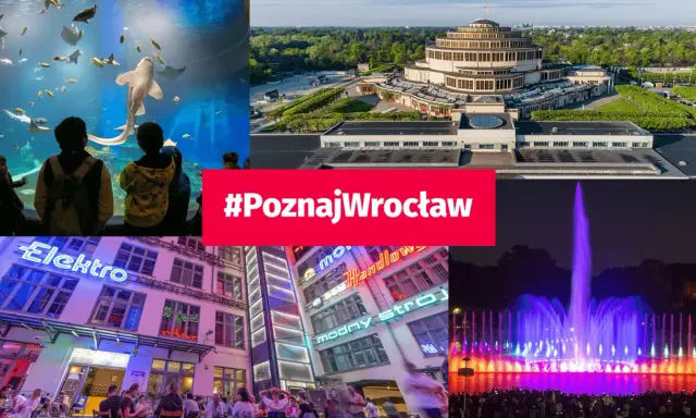 Wrocław atrakcje dla młodzieży: akwarium, Hala Stulecia, neonowe ulice i pokaz fontann.