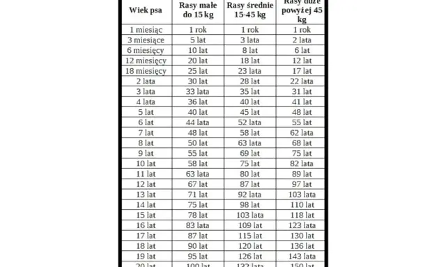 4 lata psa ile to ludzkich? Tabela pokazuje, że dla małych ras to 36 lat, średnich 40 lat, a dużych 41 lat.