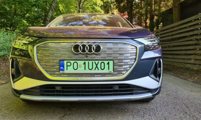 Elegancki, chromowany samochód Audi e-tron z polskimi tablicami rejestracyjnymi stoi na tle zielonego lasu.