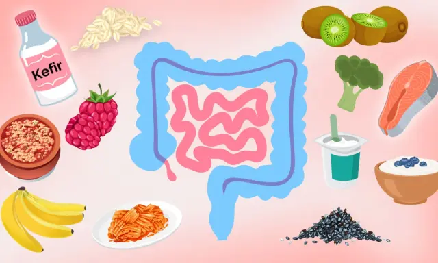 Bilder von Kefir, Haferflocken, Beeren, Bananen, Kimchi, Kiwis, Brokkoli, Lachs, Joghurt und Chia-Samen, die darmfreundliche Lebensmittel darstellen.