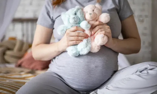 Brzuszek mamy z dwoma pluszowymi misiami, niebieskim i różowym, symbolizującymi macierzyński bliźniaki.
