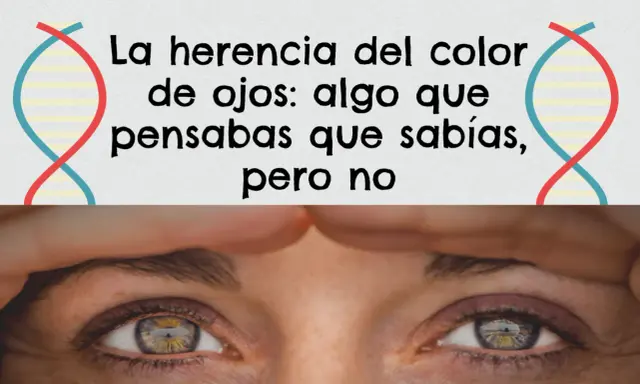 La herencia del color de ojos: la probabilidad de que tus ojos sean de un color u otro es más compleja de lo que crees.