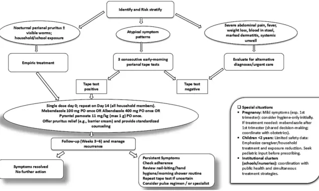 Diagramma di flusso per la diagnosi e il trattamento degli ossiuri. Include test, terapie e gestione dei casi speciali, utile per il test ossiuri in farmacia.