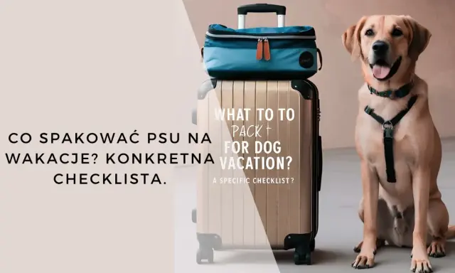 Uśmiechnięty piesek obok walizki i torby podróżnej. Czas na wakacje z psem! Sprawdź, co spakować.