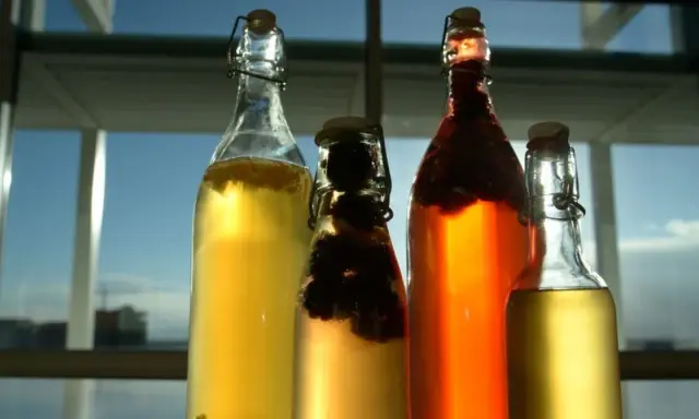 Cztery butelki z napojem, w tym jedna z ciemnymi owocami. To domowa kombucha co to jest? Napój fermentowany, zdrowy i pyszny.