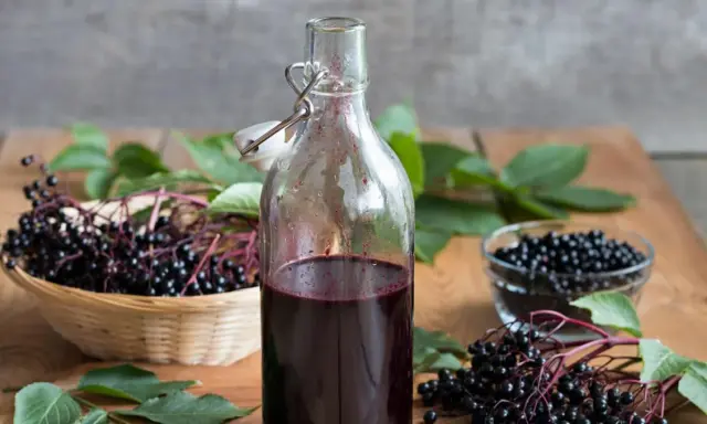 Flasche mit dunklem Saft, daneben Körbchen und Schale mit Holunderbeeren. Achtung: Holunderbeeren giftig!