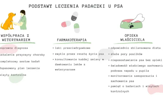 Leczenie padaczki u psa: współpraca z weterynarzem, farmakoterapia i opieka właściciela. Uśpienie psa z padaczką to ostateczność.