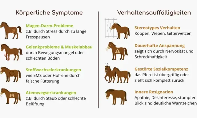 Stephanie Arndt: Ein Pferd mit Magen-Darm-Problemen, Gelenkproblemen, Stoffwechselerkrankungen oder Atemwegserkrankungen kann auch Verhaltensauffälligkeiten zeigen.