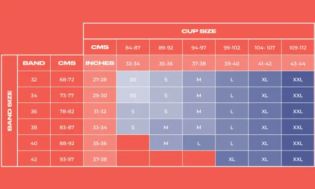 Bra size chart showing band sizes (32-42) and cup sizes (XS-XXL) with corresponding measurements in CMS and inches.