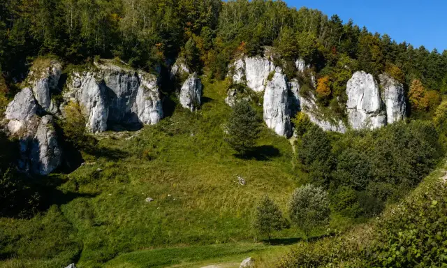 Skały wapienne w Dolinie Kobylańskiej, porośnięte zielenią i drzewami, pod błękitnym niebem.