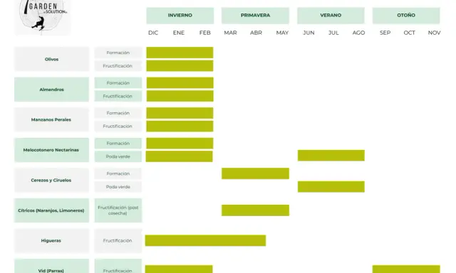 Calendario de poda de árboles frutales en España: cuándo se podan olivos, almendros, manzanos, cítricos y más.