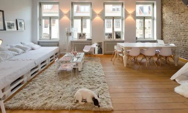 Un soggiorno luminoso con arredamento bianco e legno, un divano letto, un tavolino e un cane che riposa su un tappeto soffice.