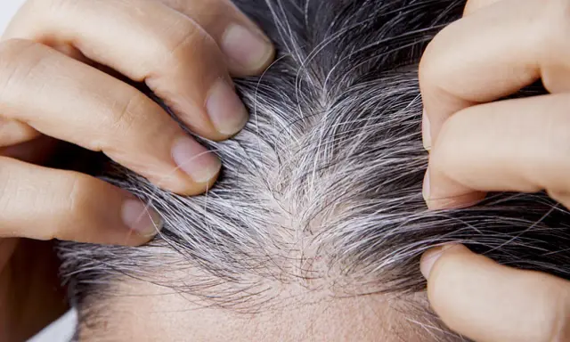 Manos separando cabello oscuro con canas plateadas, buscando cómo cubrir canas sin tinte.