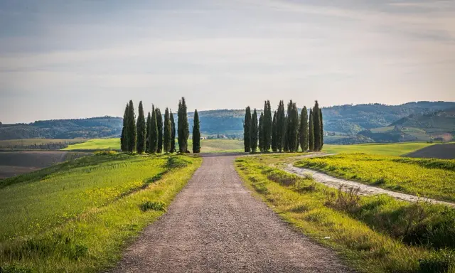 Strada sterrata tra colline verdi e cipressi, ideale per un itinerario borghi toscana 3 giorni.