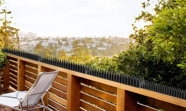 Disfruta de tu terraza sin palomas. Estos pinchos son una solución efectiva para saber como ahuyentar palomas y mantenerlas alejadas de tu hogar.
