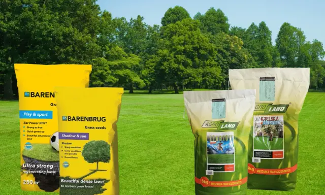 Jaka trawa na trawnik? Na zdjęciu mieszanki Barenbrug i Agro Land do trawników sportowych, ozdobnych i cienistych.