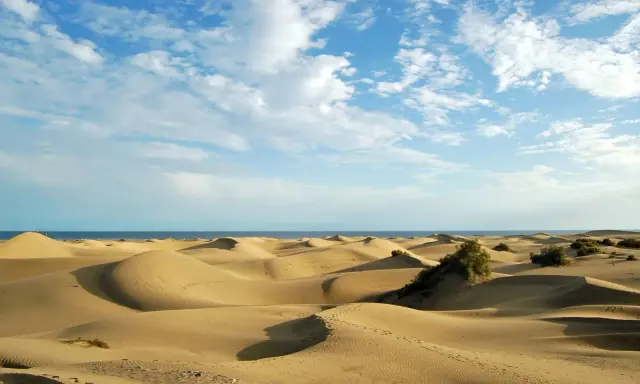 Paisaje de dunas doradas en España, con el mar azul al fondo y un cielo despejado con nubes blancas.