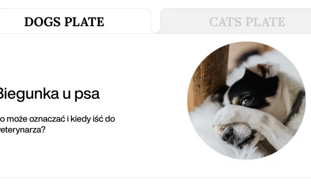 Chory piesek z łapką na oku. Temat: biegunka u psa. Kiedy szukać pomocy weterynarza?
