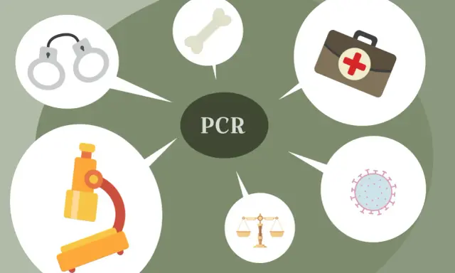 Diagrama sobre PCR en medicina: microscopio, hueso, botiquín, virus, balanza y esposas.