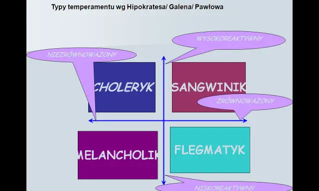 4 typy osobowości: Poznaj swój temperament i zbuduj lepsze relacje
