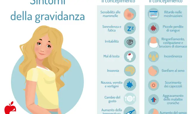 Sintomi della gravidanza: quando compare la nausea, con elenco di segnali precoci e ritardati, tra cui sensibilità al seno e ritardo mestruale.